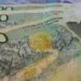 llevar dolares o pesos a argentina