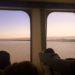 ir de buenos aires a uruguay en ferry