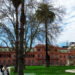 roaming chile argentina
