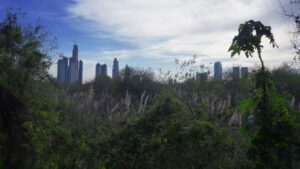 reserva ecológica costanera sur